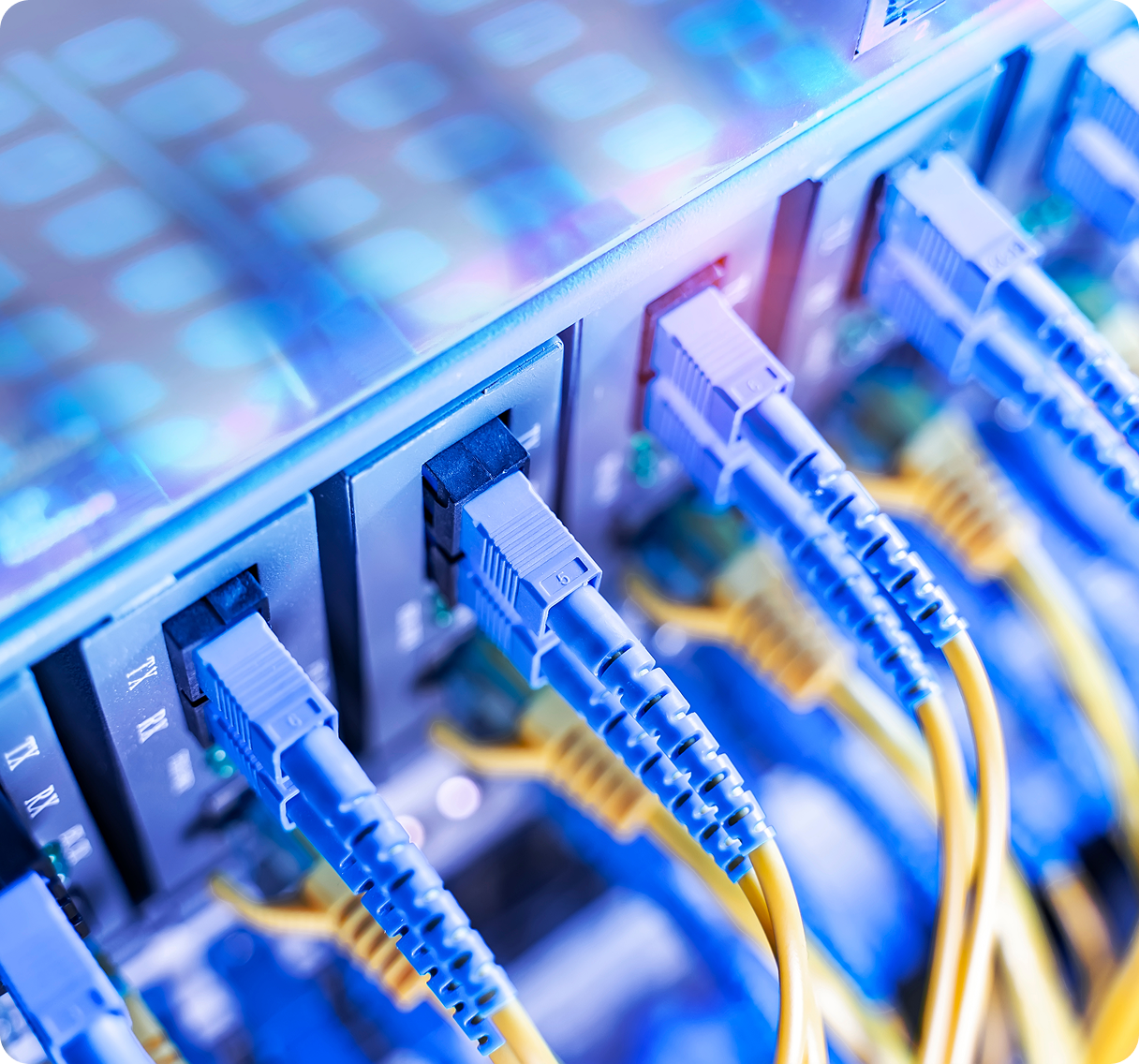 Network cables in a server room